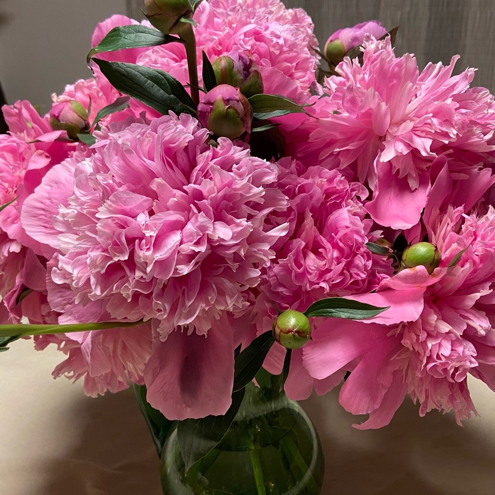 Meet your Posher, Mary